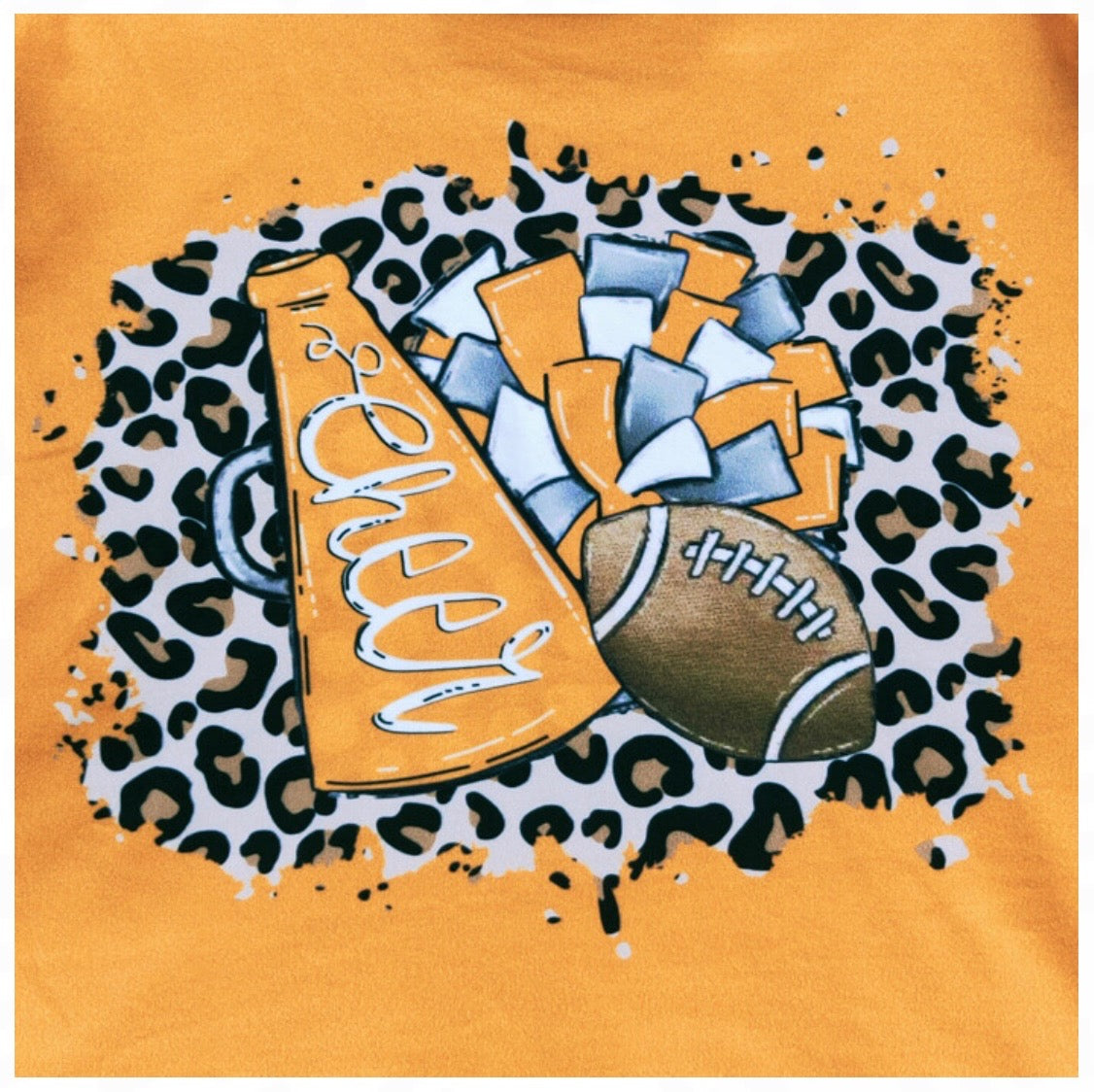Leo Football Set